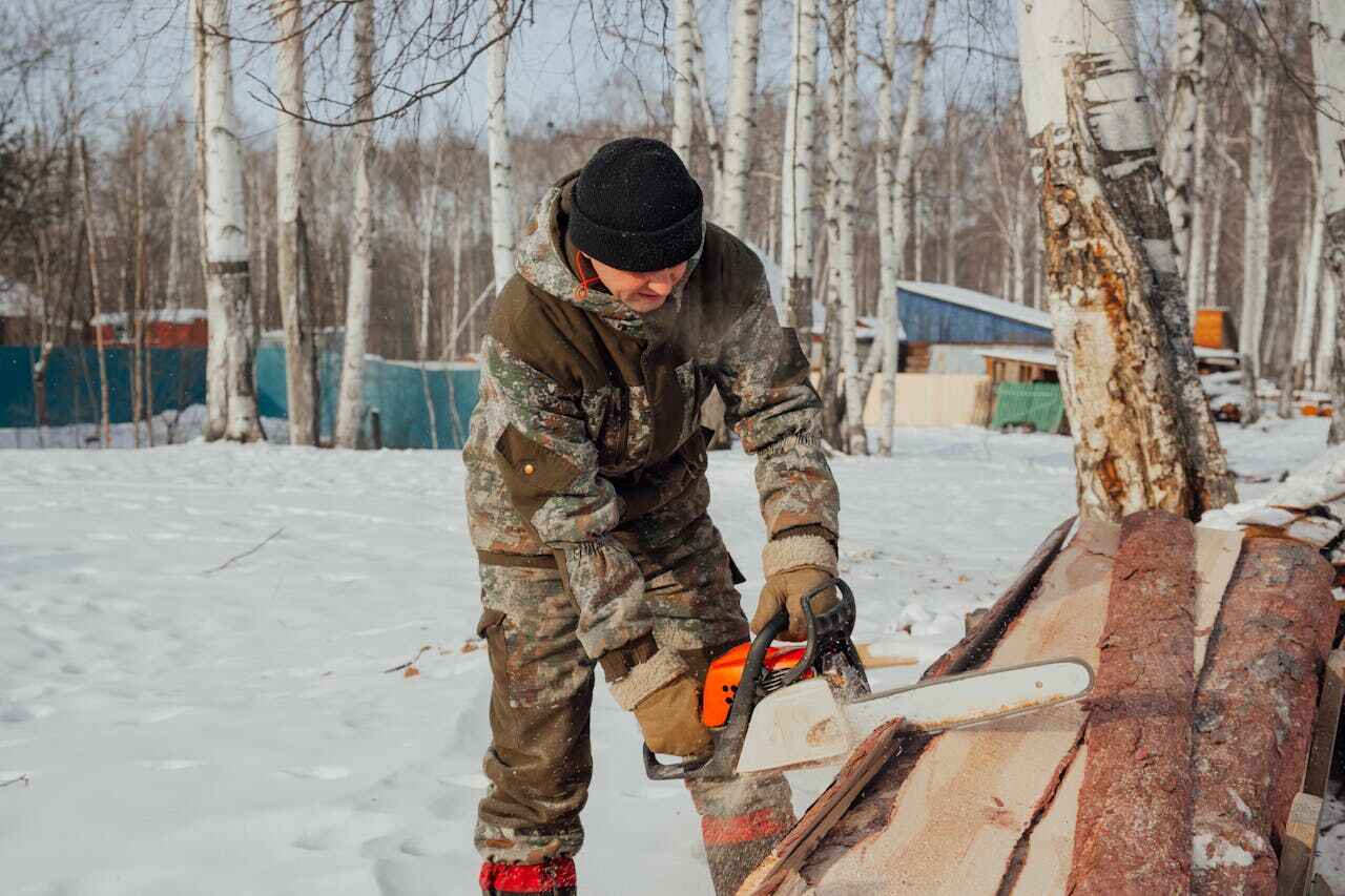 Professional Tree Service in Dove Valley, CO